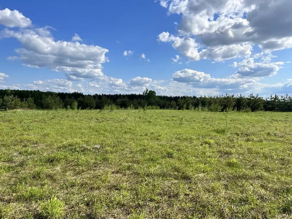 Участок в Нижегородская область, Богородский муниципальный округ, д. ... - Фото 2