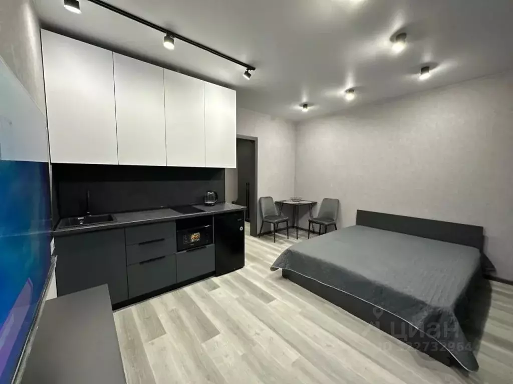 1-к кв. Амурская область, Благовещенск Кузнечная ул., 84 (29.0 м) - Фото 1