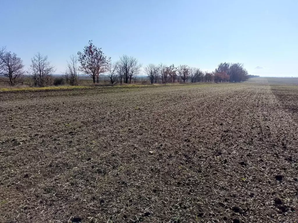Участок в Крым, Симферопольский район, Николаевское с/пос, с. Раздолье ... - Фото 1