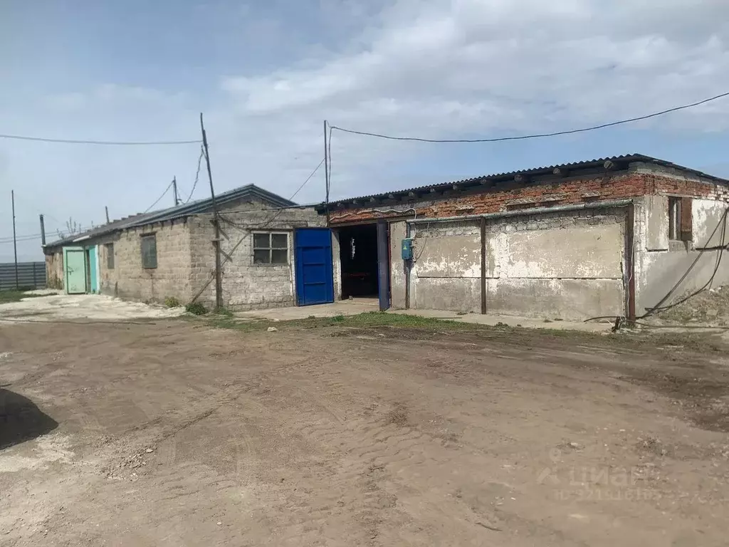 Помещение свободного назначения в Омская область, Омский район, с. ... - Фото 1