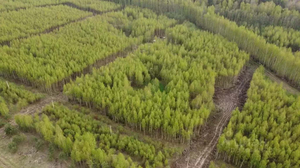 Участок в Тверская область, Конаковский муниципальный округ, Волжские ... - Фото 2