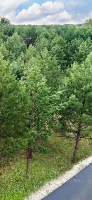 Участок, 6.2 сот., поселения (ижс) - Фото 1