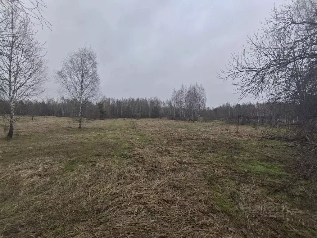 Участок в Рязанская область, Клепиковский муниципальный округ, д. ... - Фото 1