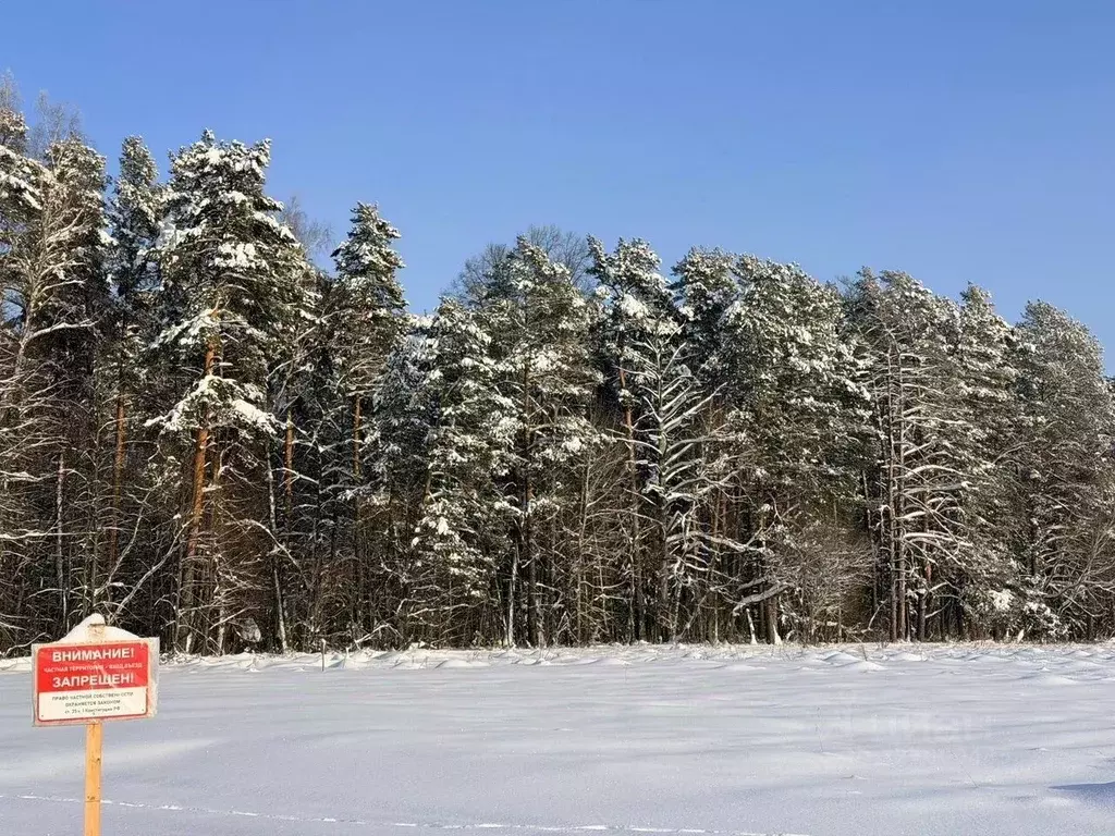 Участок в Московская область, Серпухов городской округ, пос. ... - Фото 1