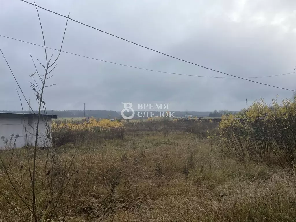 Участок в Владимирская область, Судогодский район, с. Чамерево ул. ... - Фото 2