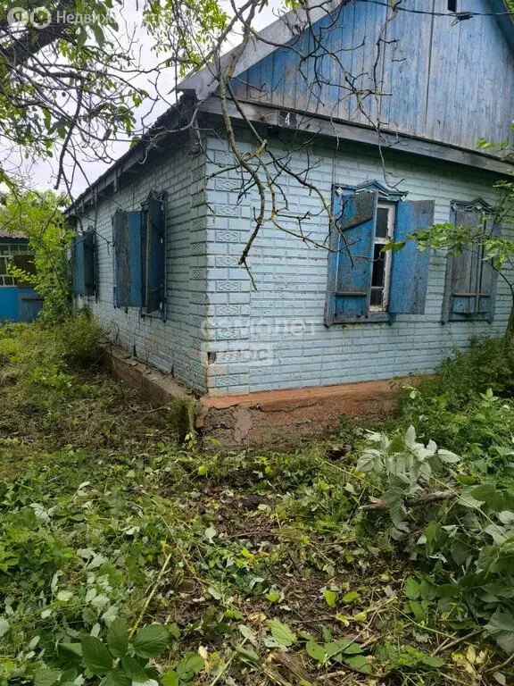 Дом в село Петровское, Светлая улица, 4 (42.4 м) - Фото 0