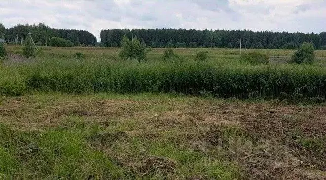 Участок в Московская область, Щелково городской округ, с. Рязанцы  ... - Фото 1