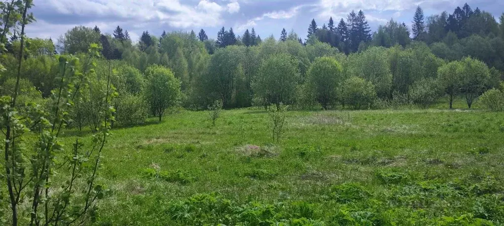 Участок в Московская область, Солнечногорск городской округ, д. Мостки ... - Фото 1