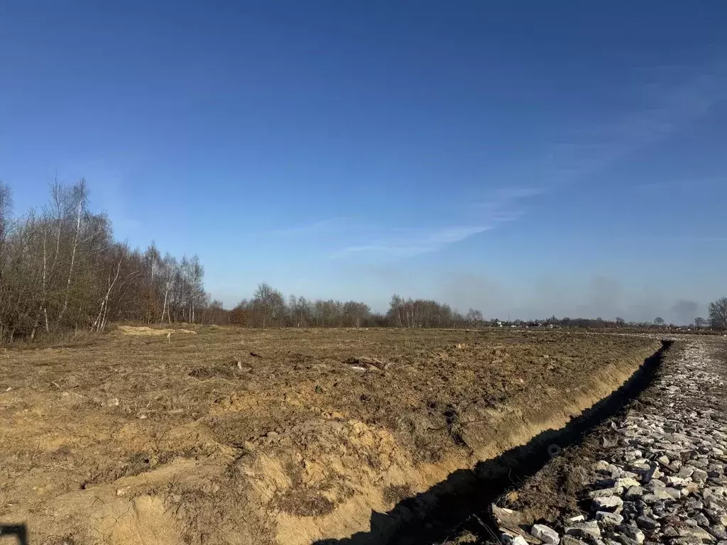 Участок в Калининградская область, Гурьевский муниципальный округ, ... - Фото 1