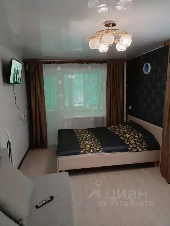 1-к кв. Новгородская область, Боровичи ул. Гоголя, 168 (31.0 м) - Фото 0