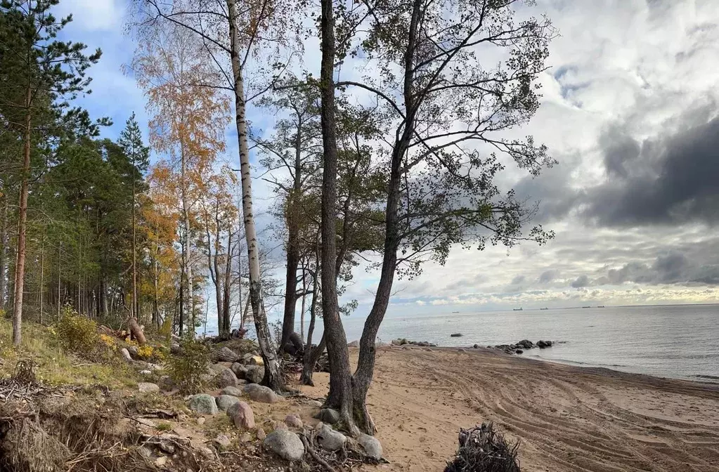 Участок в Ленинградская область, Выборгский район, Полянское с/пос, ... - Фото 2