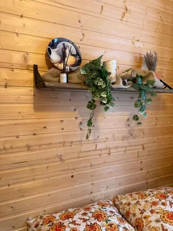 Дом в Челябинская область, Еткульский муниципальный округ, с. ... - Фото 2