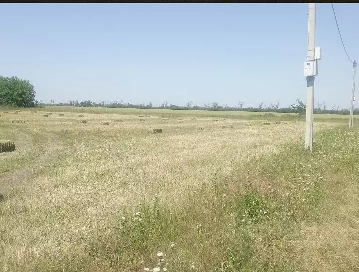 Участок в Краснодарский край, Краснодар Пилот нст, ул. Земляничная ... - Фото 2
