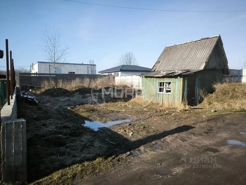 Участок в Калининградская область, Калининград Золотой Петушок ДНТ, ... - Фото 1