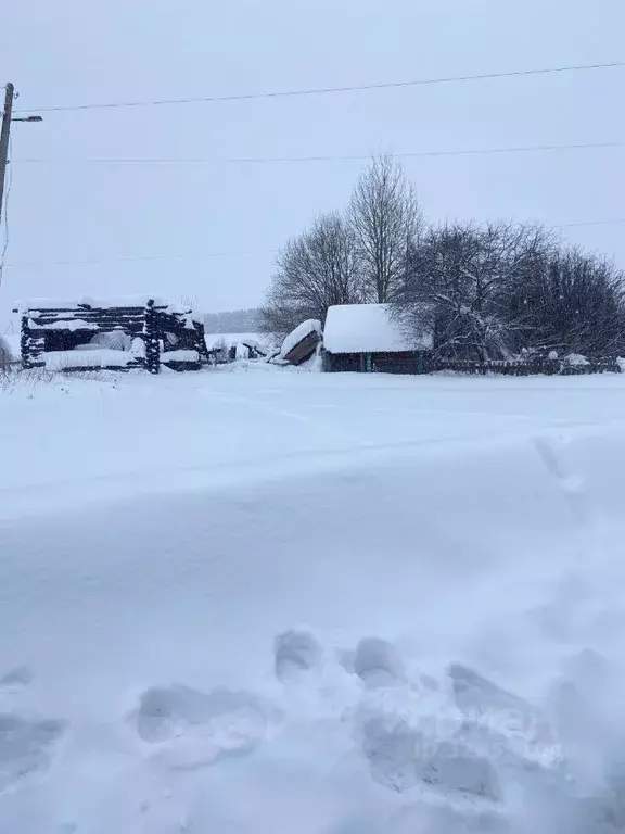 Участок в Пермский край, Кунгурский муниципальный округ, с. Юговское ... - Фото 1