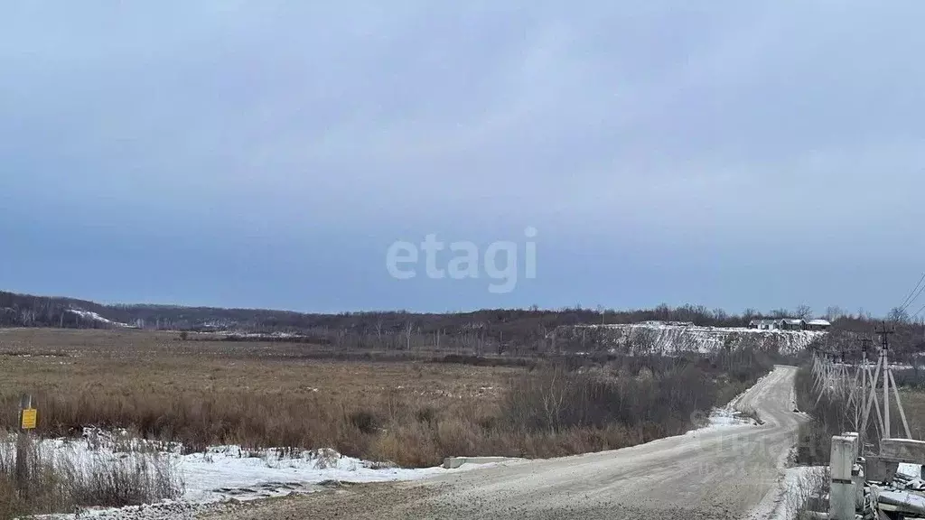 Участок в Амурская область, Благовещенский район, с. Кантон-Коммуна  ... - Фото 0