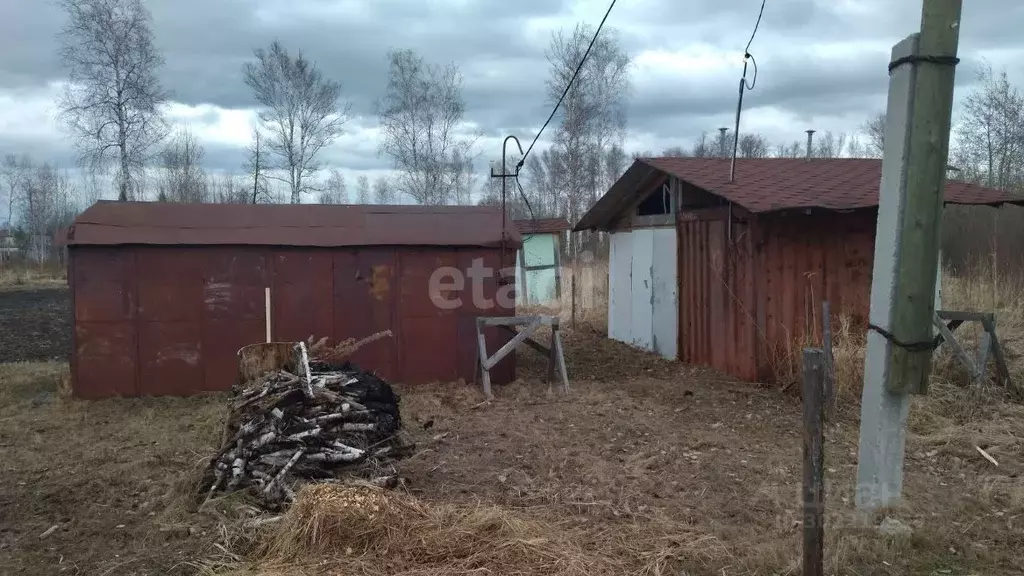 Участок в Тюменская область, Нижнетавдинский район, Сочинское ДНТ  ... - Фото 1