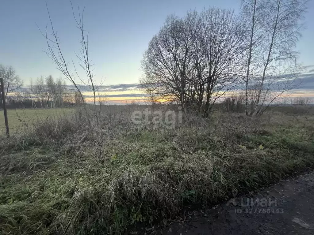 Участок в Тульская область, Щекинский район, Лазаревское с/пос, с. ... - Фото 1