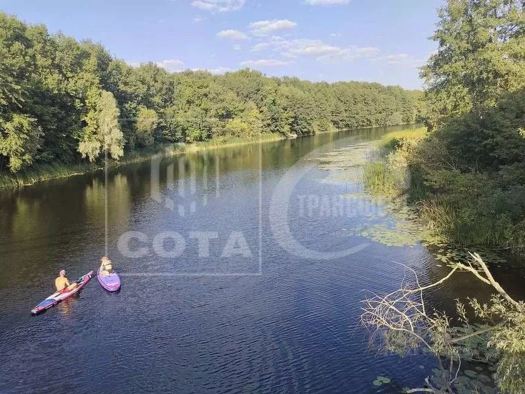 Участок в Воронежская область, Новоусманский район, Усманское 1-е ... - Фото 0