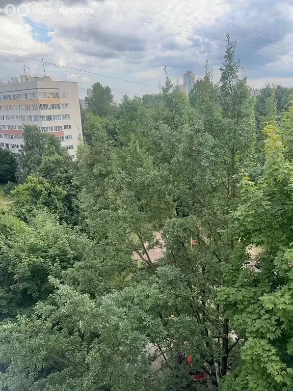 3-комнатная квартира: Санкт-Петербург, Дачный проспект, 9к2 (59.7 м) - Фото 2