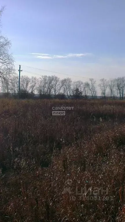 Участок в Челябинская область, Красноармейский район, с. Миасское  ... - Фото 1