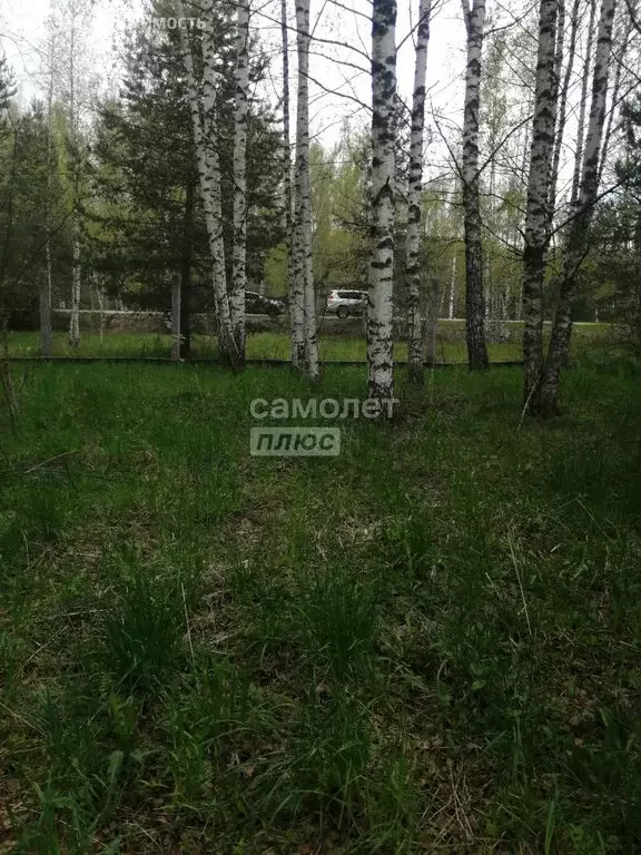 Участок в Ивановский район, Беляницкое сельское поселение, деревня ... - Фото 2