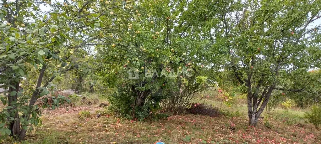 Участок 8 сот. (СНТ, ДНП) - Фото 1