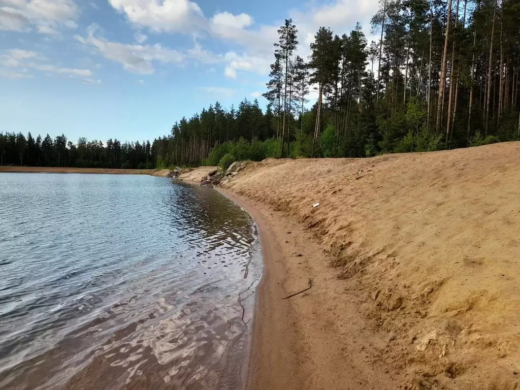 Участок в Московская область, Щелково Кожинский Берег кп,  (7.3 сот.) - Фото 1