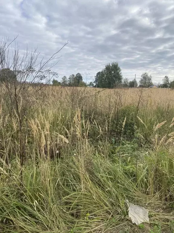 Участок в Московская область, Лотошино муниципальный округ, пос. ... - Фото 1