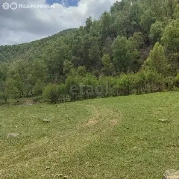 Участок в Малокарачаевский район, село Хасаут (13 м) - Фото 2