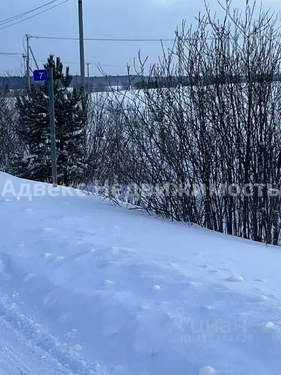Участок в Тюменская область, Тюменский район, с. Кулига ул. ... - Фото 1