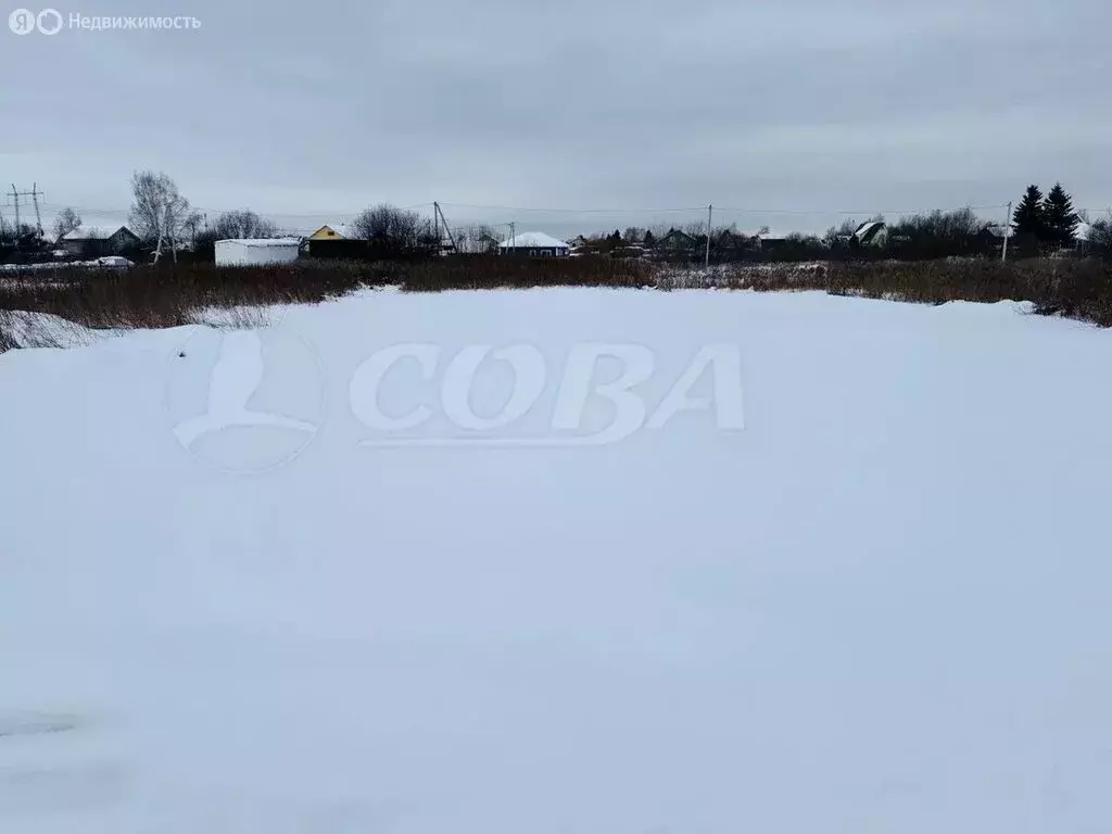 Участок в Тюмень, садовое товарищество Рябинка-2 (8 м) - Фото 1