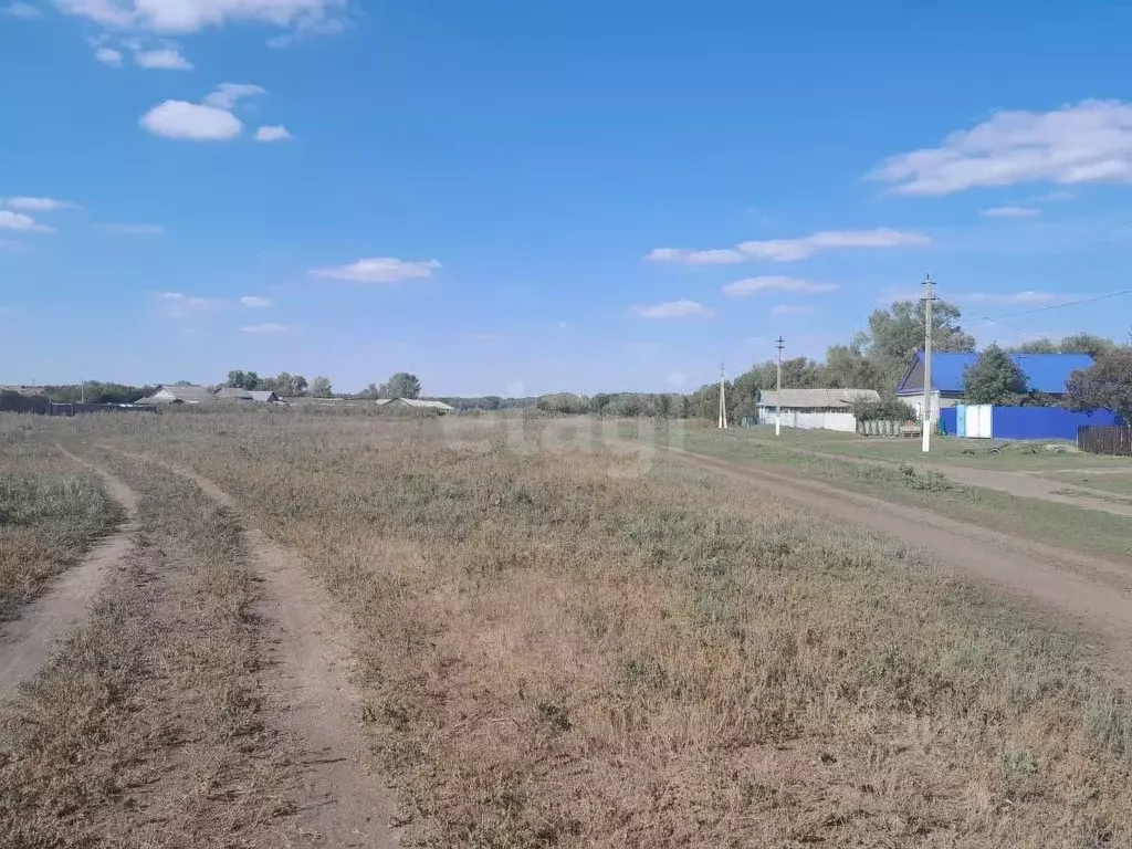 Участок в Оренбургская область, Саракташский район, Черноотрожский ... - Фото 1