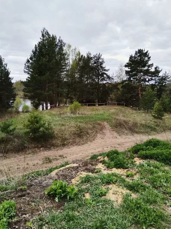 Участок в Владимирская область, Ковровский район, Новосельское с/пос, ... - Фото 2