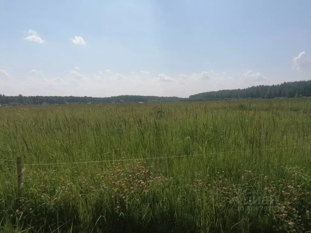 Участок в Московская область, Дмитровский городской округ, Раменье дп  ... - Фото 1