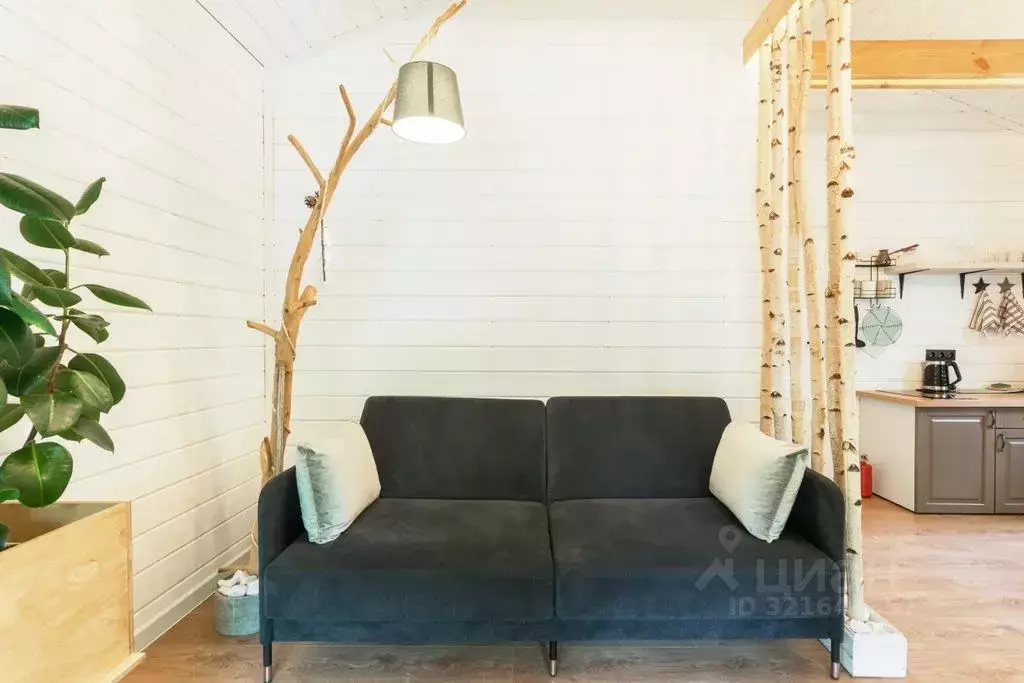 Дом в Псковская область, Пушкиногорье городское поселение, д. Каменец  ... - Фото 2