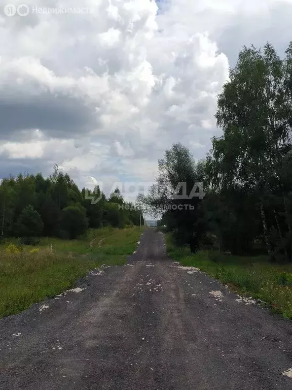 участок в нижегородская область, богородский муниципальный округ, . - Фото 0