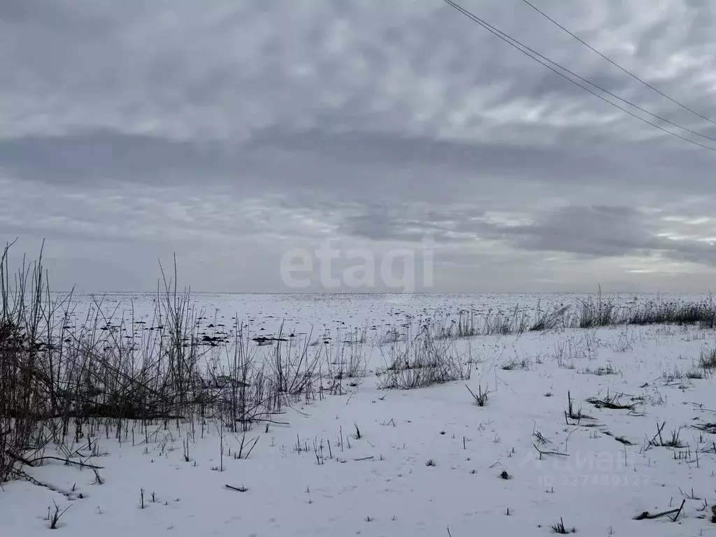 Участок в Белгородская область, Шебекинский муниципальный округ, пос. ... - Фото 1