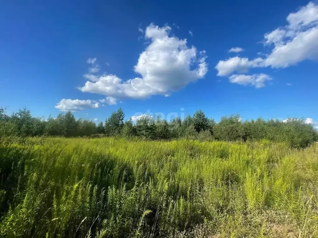 участок в нижегородская область, кстовский муниципальный округ, с. . - Фото 1