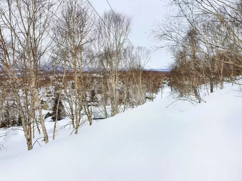 Участок в Камчатский край, Елизовский муниципальный округ, Камчатский ... - Фото 1