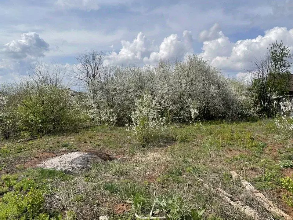 Участок в Оренбургская область, Оренбургский район, Ленинский ... - Фото 1