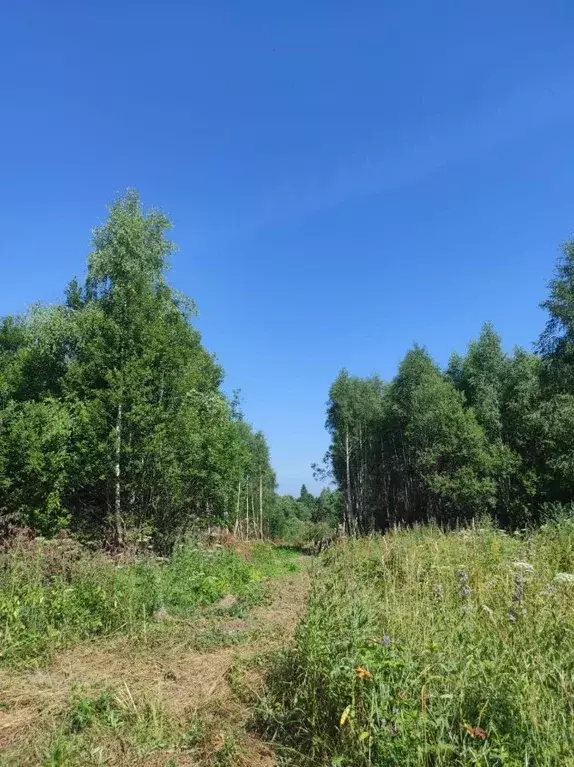 Участок в Тульская область, Ясногорский район, Иваньковское ... - Фото 1