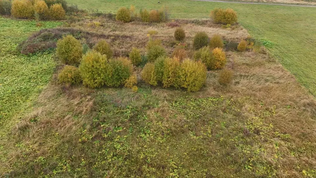 Участок в Московская область, Волоколамский муниципальный округ, с. ... - Фото 2
