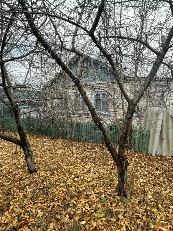 Дом в Белгородская область, Алексеевка Молодежная ул., 17 (60 м) - Фото 0