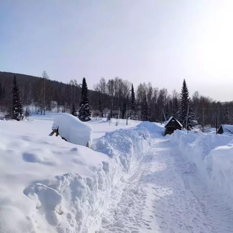 Участок в Кемеровская область, Таштагол пос. Шалым,  (15.0 сот.) - Фото 1