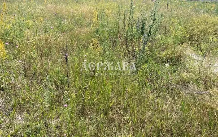 Участок в Белгородская область, Старый Оскол Пролески мкр,  (15.0 ... - Фото 1