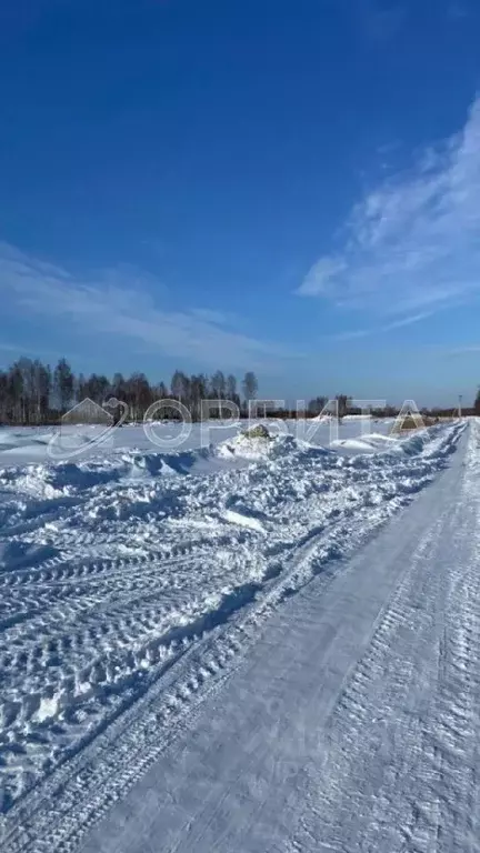 Участок в Тюменская область, Тюменский район, с. Каменка  (13.22 сот.) - Фото 0