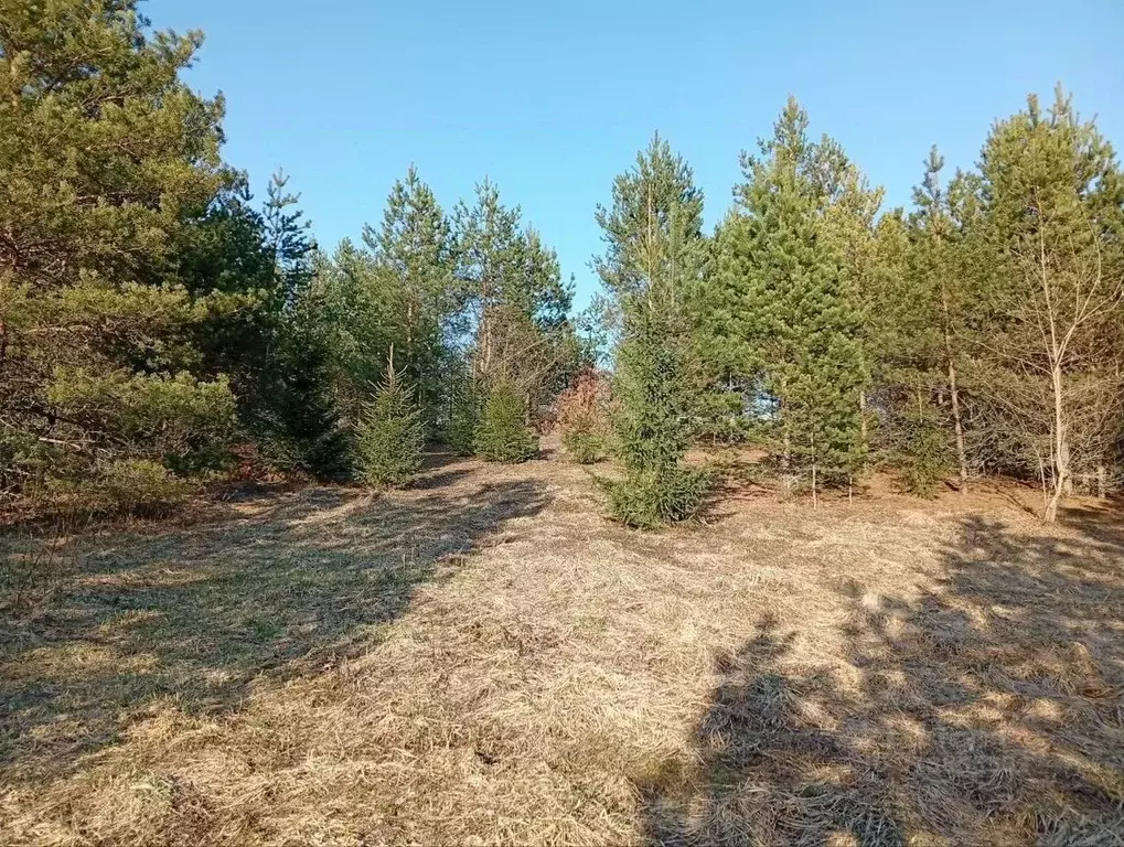 Участок в Новгородская область, Демянский муниципальный округ, д. ... - Фото 1