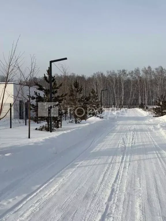 Участок в Новосибирская область, Новосибирский район, Криводановский ... - Фото 1