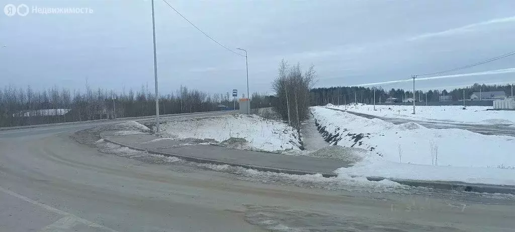 Участок в Ленинградская область, Гатчинский муниципальный округ, СНТ ... - Фото 1